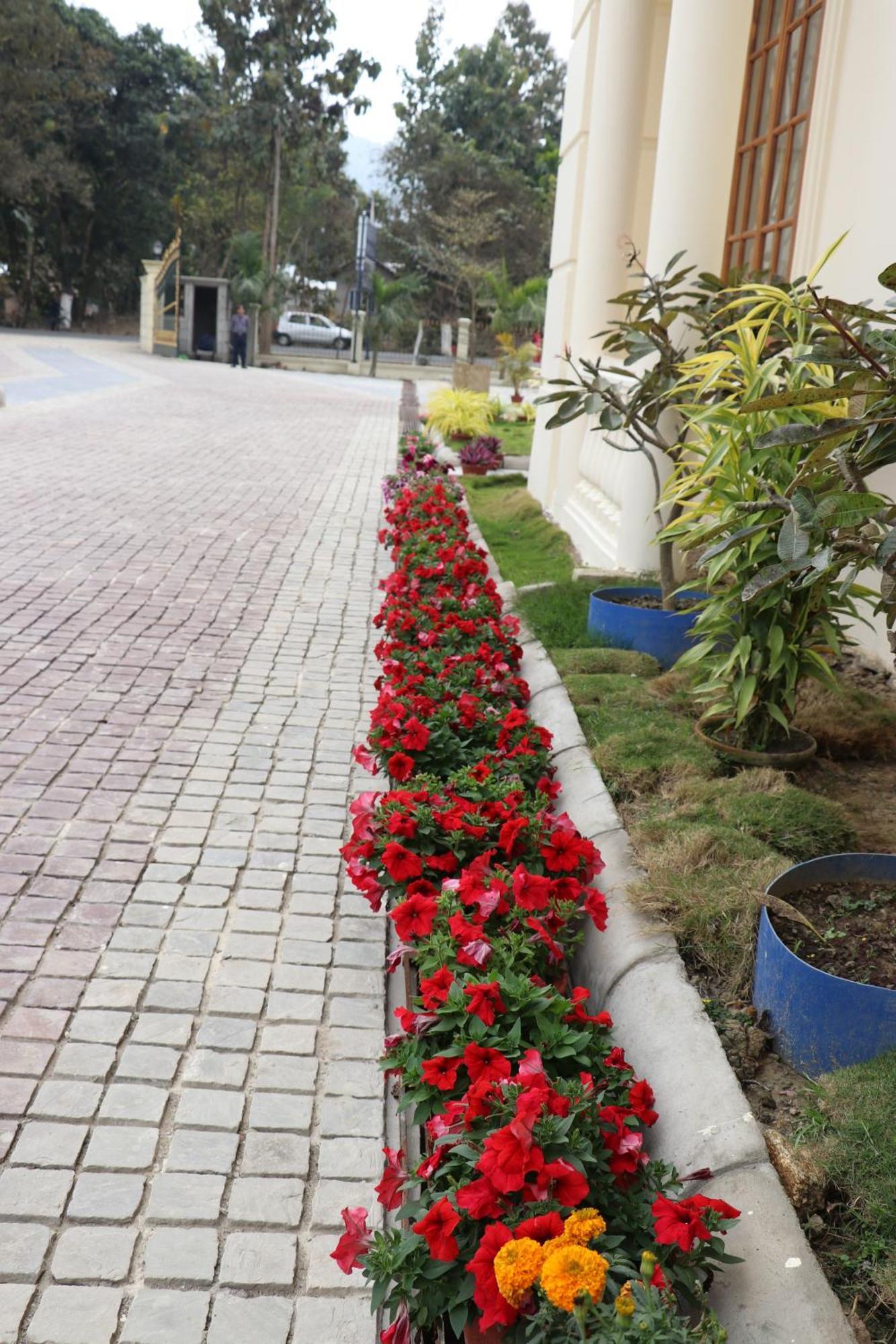 Royale De' Casa Resort Kaziranga Exterior photo